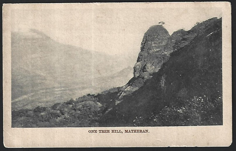 India MATHERAN vintage postcard One Tree Hill