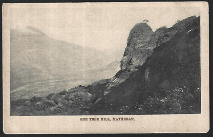 India MATHERAN vintage postcard One Tree Hill