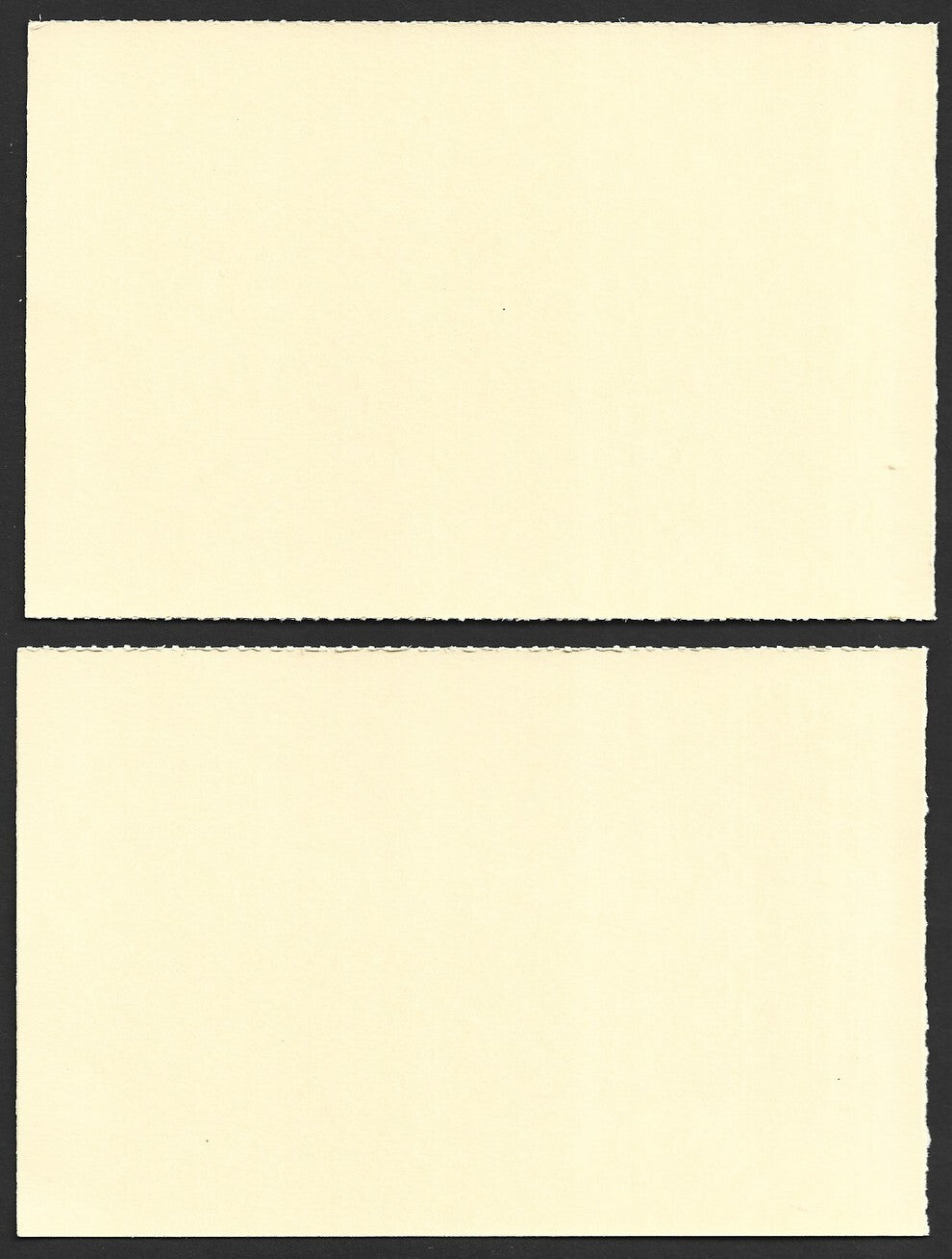 India 2024 World Ocean Day cards TORTOISE (4)