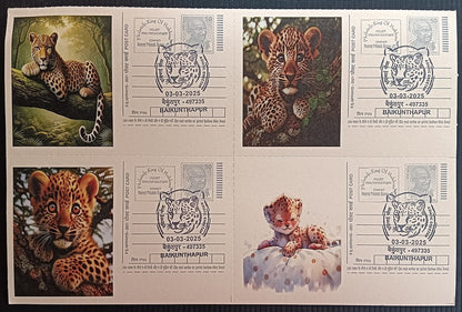 India Asiatic Cheetah group of 80 different special event postcards, Baikuntapur
