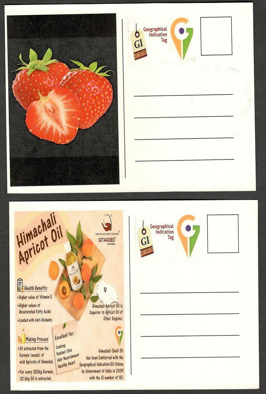 (AOP) India 2023 Indian Fruits sets of 12 maxicards