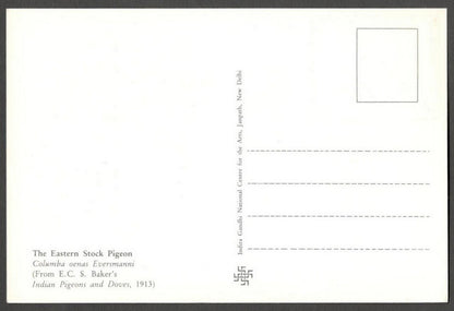 AOP India 2010 Pigeon maxi card