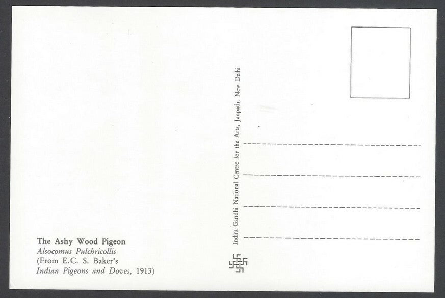 AOP India 2010 Pigeon maxi card set of 24
