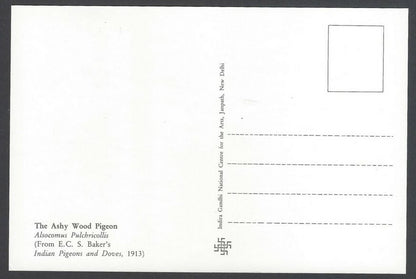 AOP India 2010 Pigeon maxi card set of 24