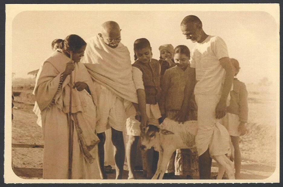 AOP India full back pictorial 50p Gandhi postal card GANDHI 