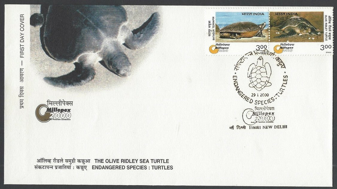 India 2000 Turtles FDC