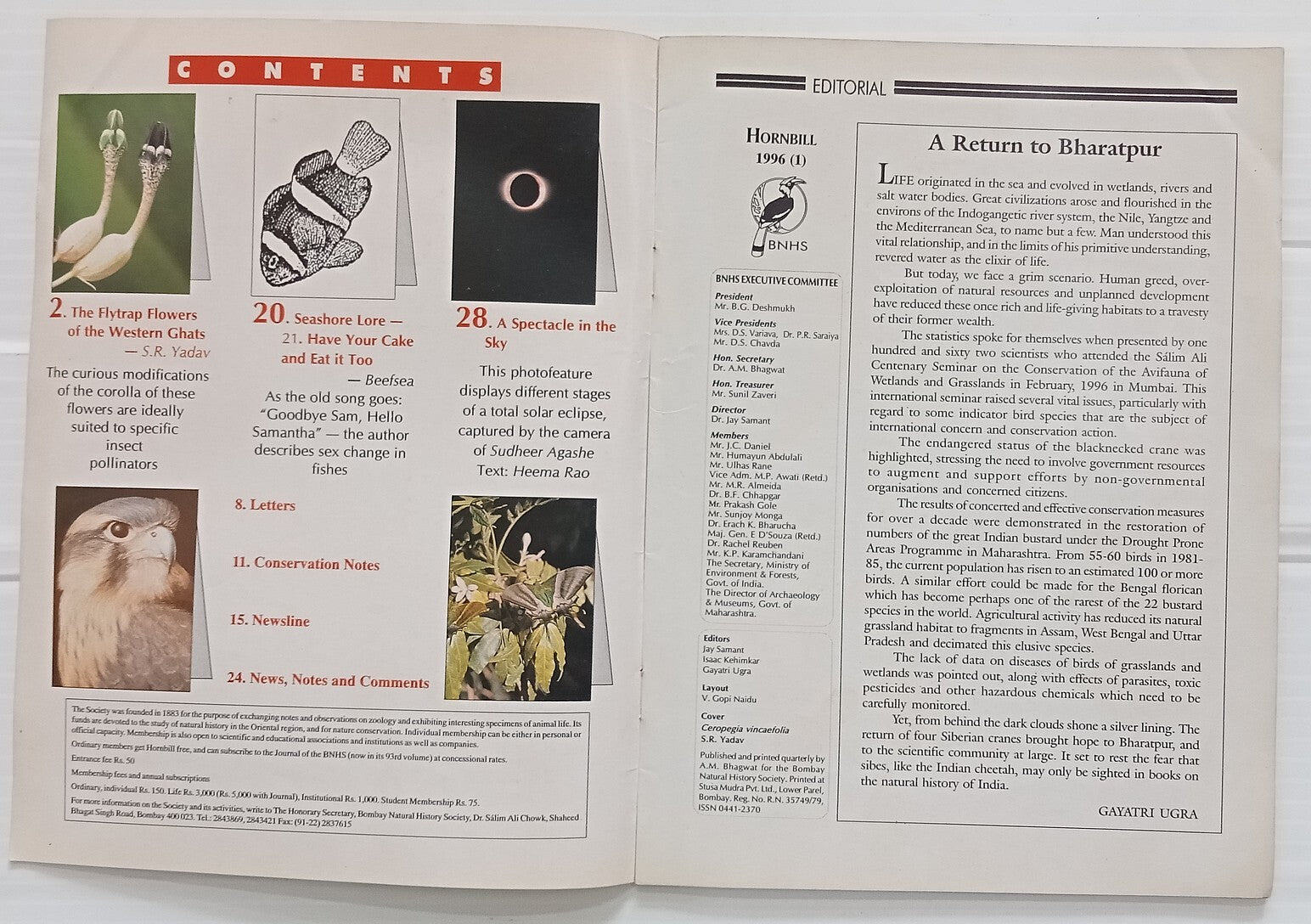 AOP India HORNBILL by BOMBAY NATURAL HISTORY SOCIETY 1996