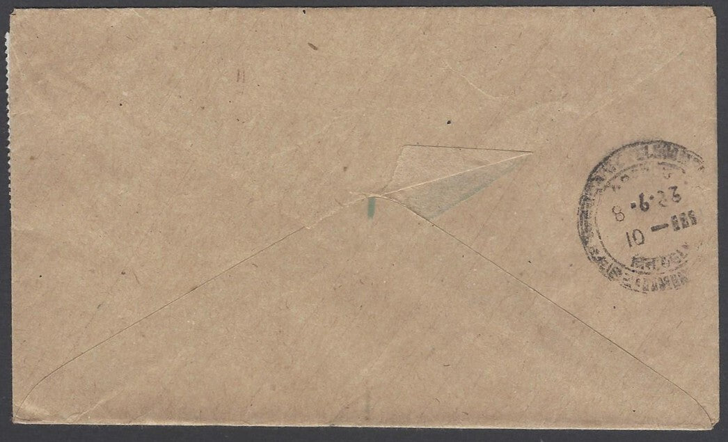 AOP Brunei airmail cover to India