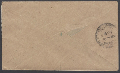 AOP Brunei airmail cover to India