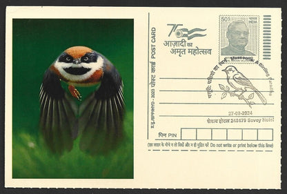 India 2024 Birding Paradise Savoy Hotel postmarks on cards STRIPED BIRD (9)