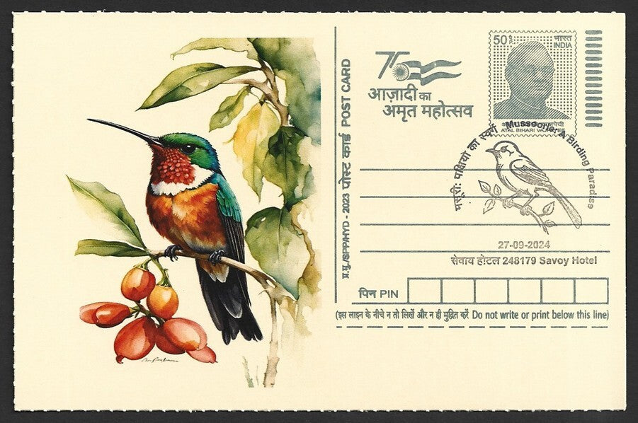 India 2024 Birding Paradise Savoy Hotel postmarks on cards HUMMING BIRDS (3)