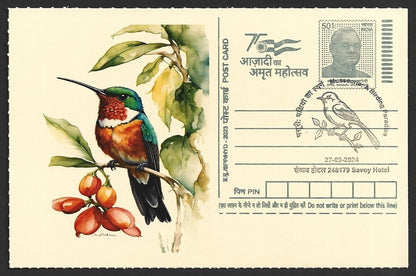 India 2024 Birding Paradise Savoy Hotel postmarks on cards HUMMING BIRDS (3)