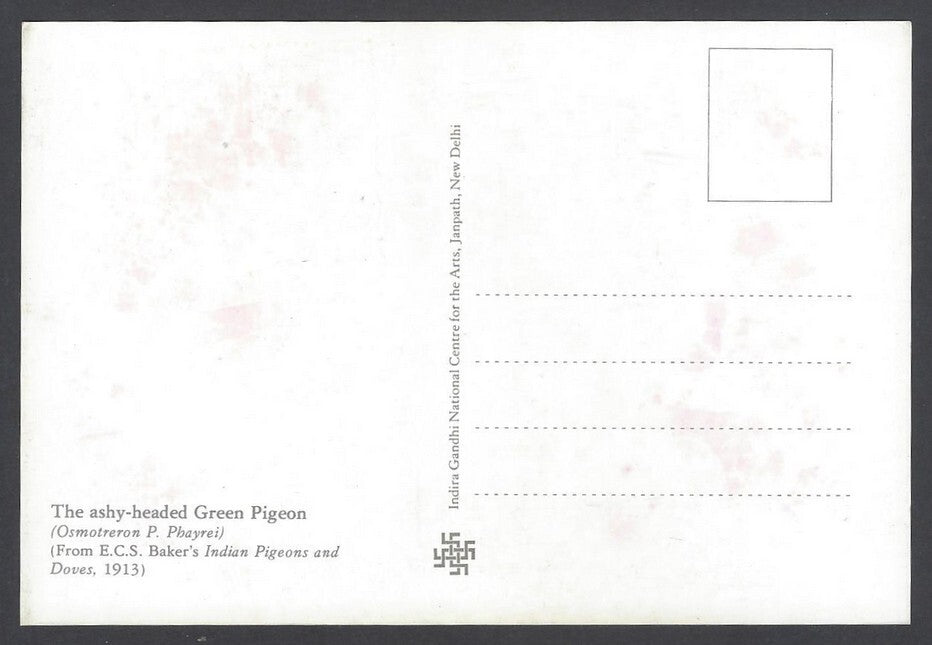 AOP India 2008 Pigeon The Ashy Headed Green Pigeon Maxi card