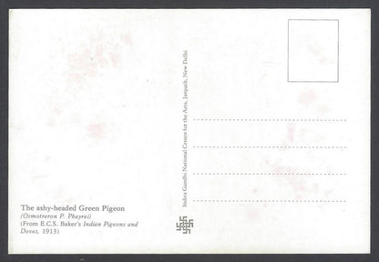 AOP India 2008 Pigeon The Ashy Headed Green Pigeon Maxi card
