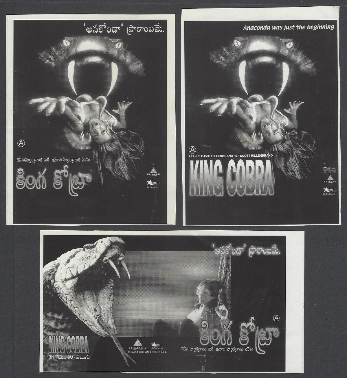 KING COBRA publicity material for India (15 slides, 9 photos, 2 negatives)