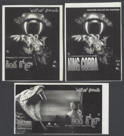 KING COBRA publicity material for India (15 slides, 9 photos, 2 negatives)
