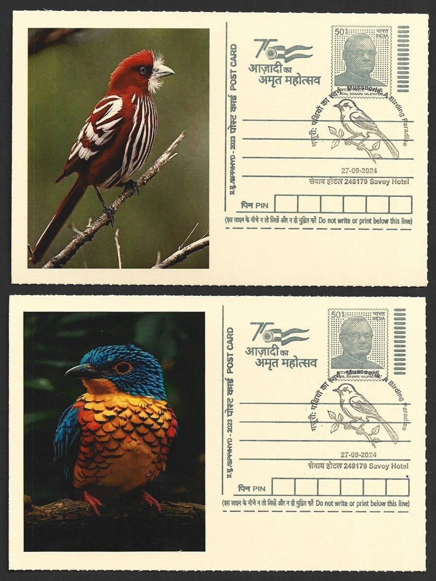 India 2024 Birding Paradise Savoy Hotel postmark cards MULTICOLORED BIRDS (8)