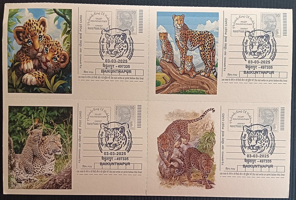 India Asiatic Cheetah group of 80 different special event postcards, Baikuntapur