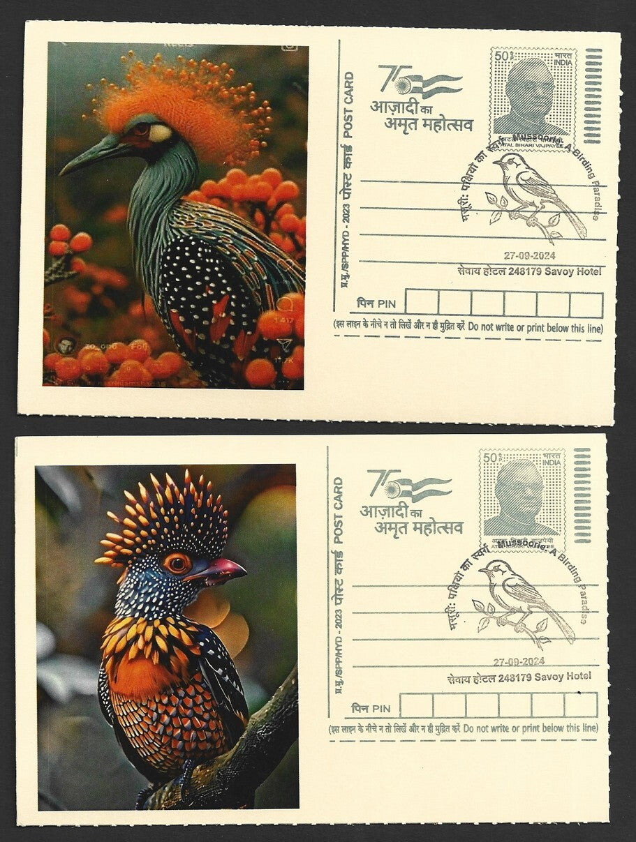 India 2024 Birding Paradise Savoy Hotel postmarks on cards PEACOCKS (15)