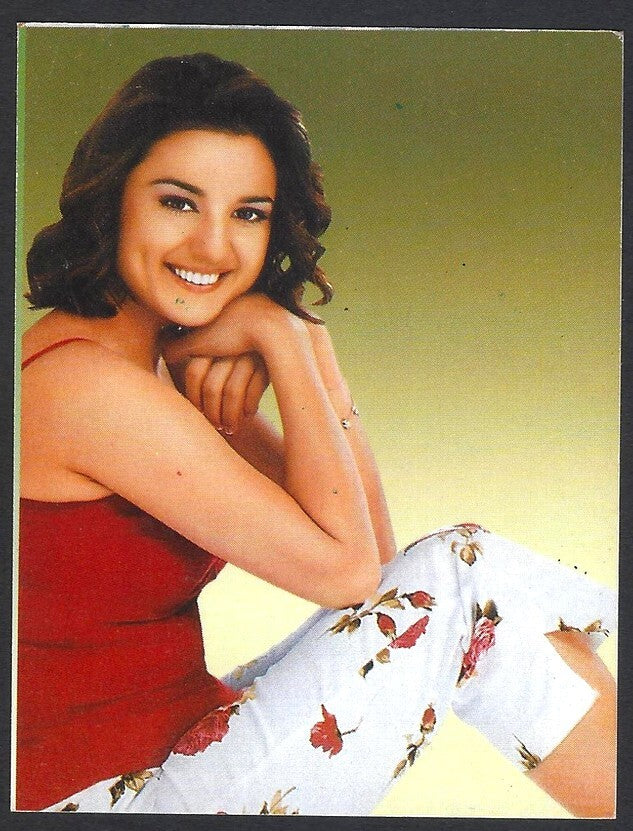 AOP2 India Bollywood 2004 pocket calendar PREITY ZINTA