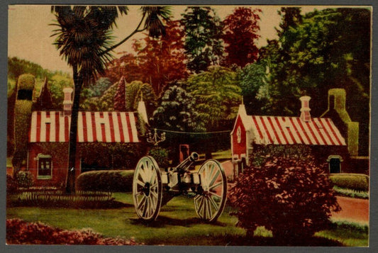 AOP India vintage color postcard BOTANICAL GARDEN, OOTY