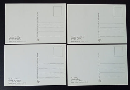 AOP India 2010 Pigeon maxicard set of 24