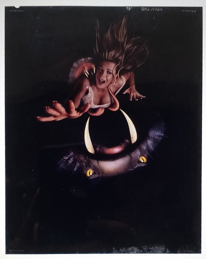 KING COBRA publicity material for India (15 slides, 9 photos, 2 negatives)