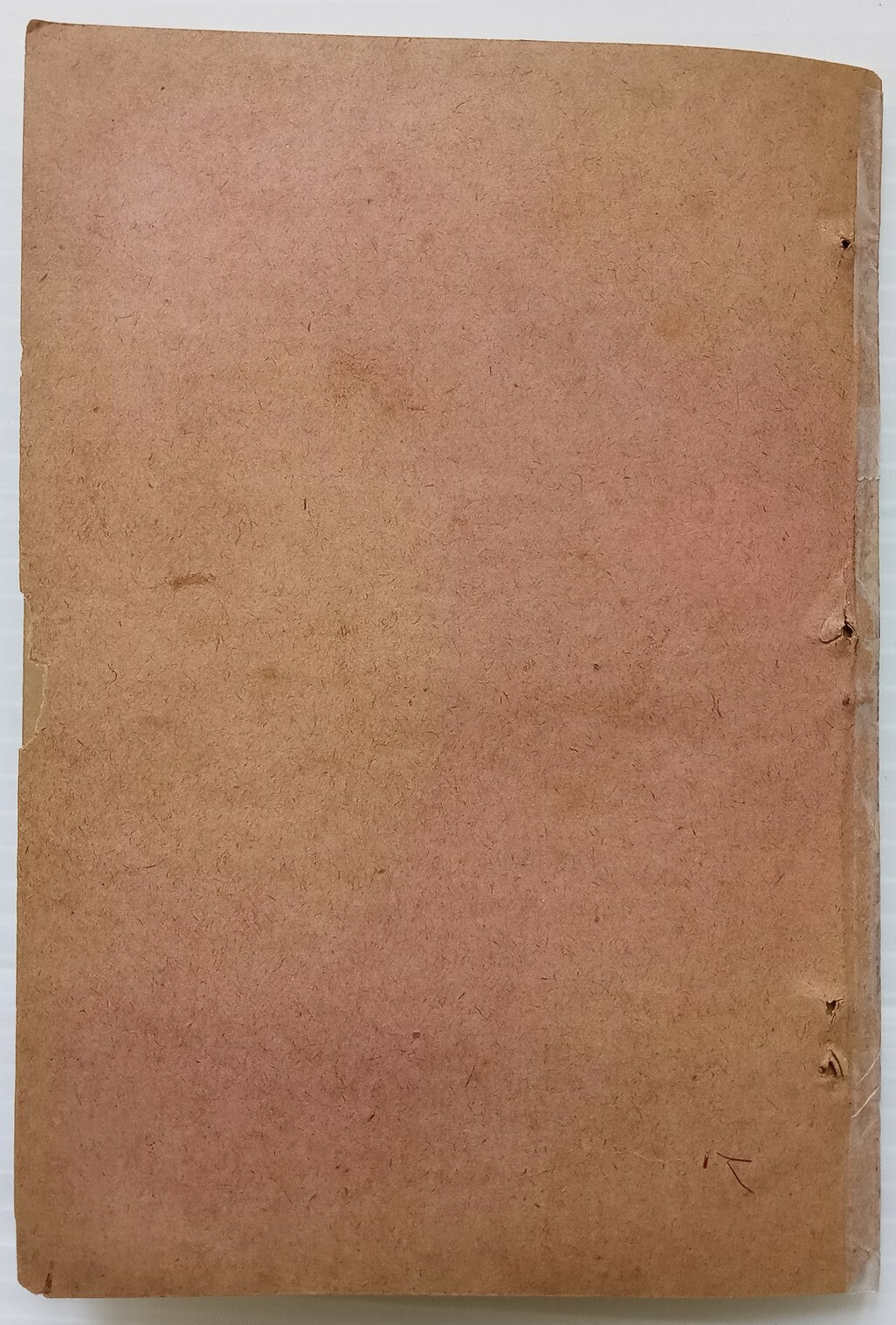 AOP DEWAN I HAFIZ Odes 51-100 SC 1892 see condition India 