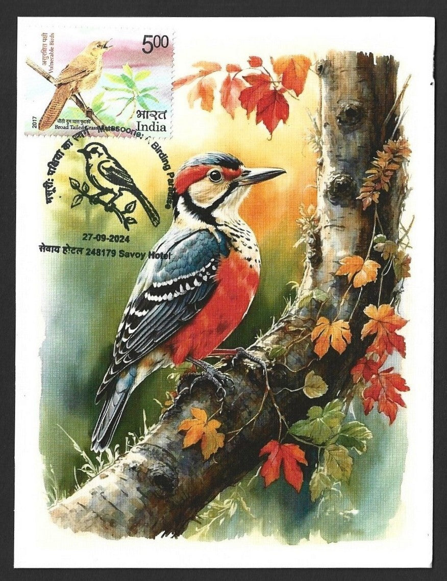 India 2024 BIRDS maximum cards (not first day) (7)