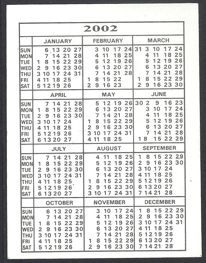 AOP2 India Bollywood 2002 pocket calendar MADHURI DIXIT