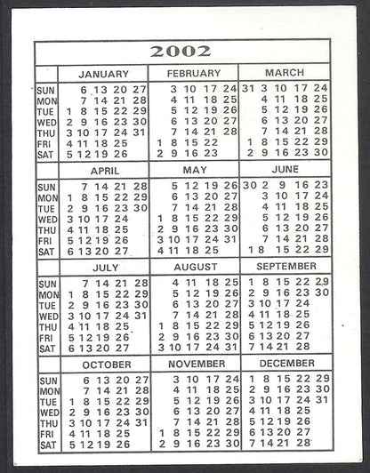 AOP2 India Bollywood 2002 pocket calendar MADHURI DIXIT