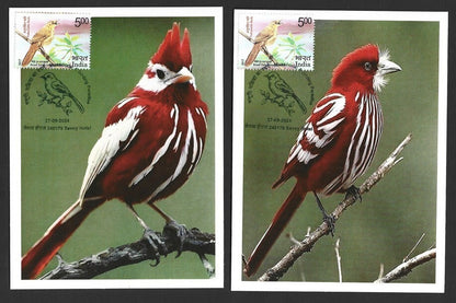 India 2024 BIRDS - COTINGA maximum cards (not first day) (3)