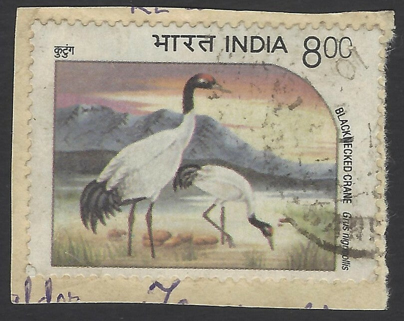 India 1994 Water Birds 8R WITHDRAWN ISSUE used