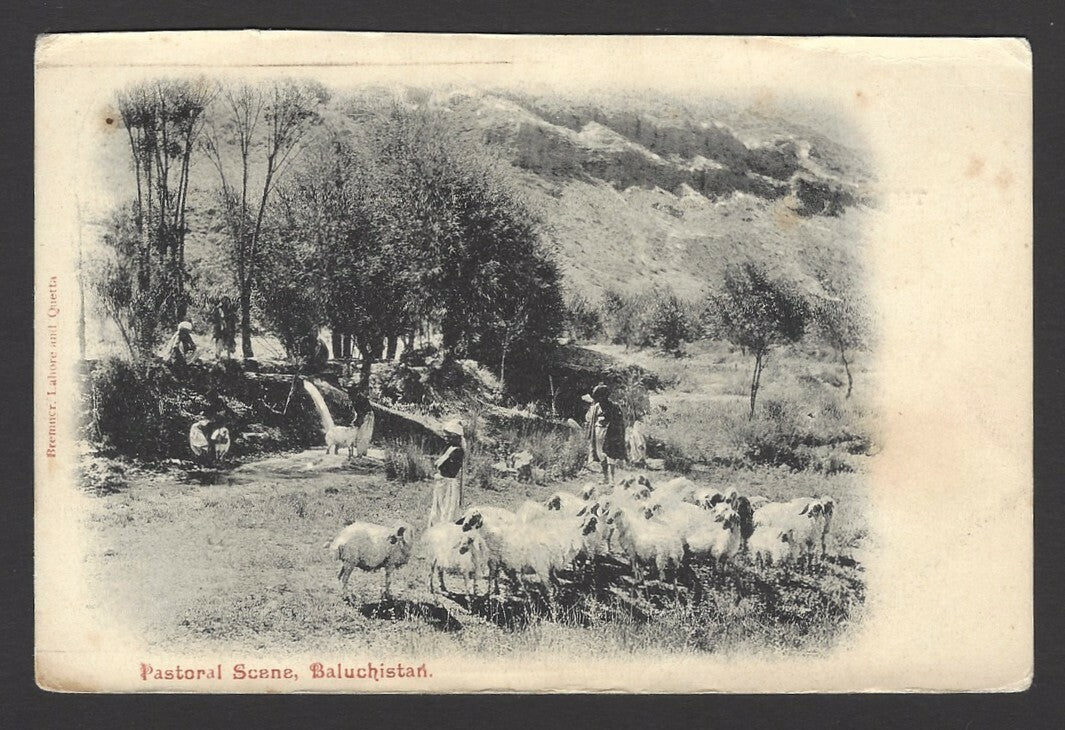 India vintage postcard PASTORAL SCENE, BALUCHISTAN
