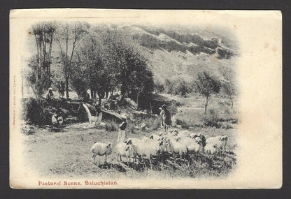 India vintage postcard PASTORAL SCENE, BALUCHISTAN