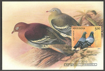 AOP India 2010 Pigeon maxi card