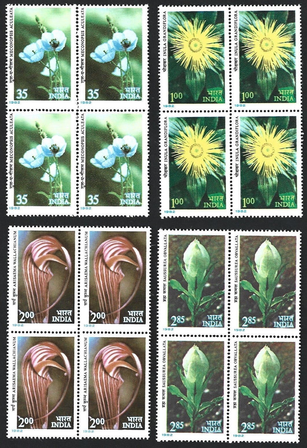 India 1982 Himalayan Flowers set of 4 MNH blocks of 4
