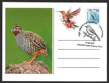 India 2024 BIRDS - QUAIL maximum card (not first day)