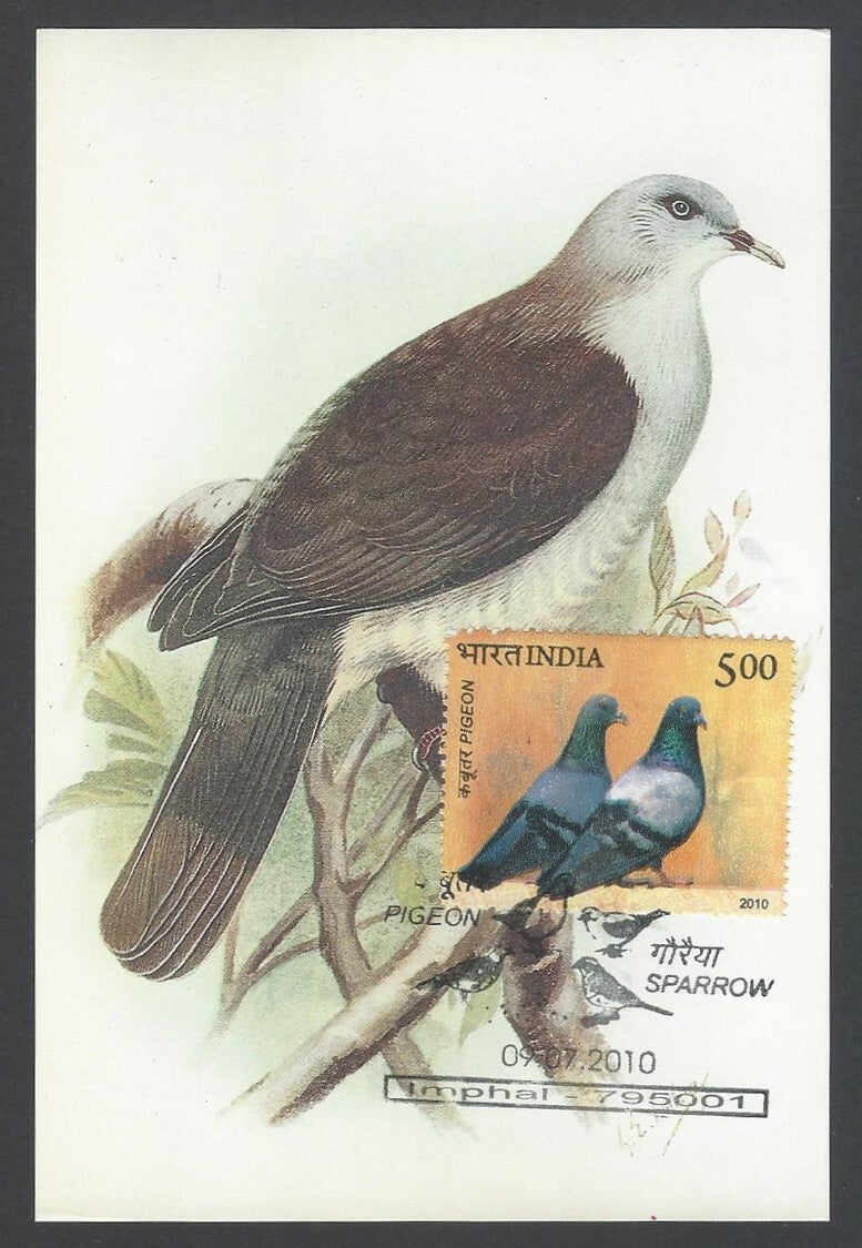 AOP India 2010 Pigeon maxi card set of 24