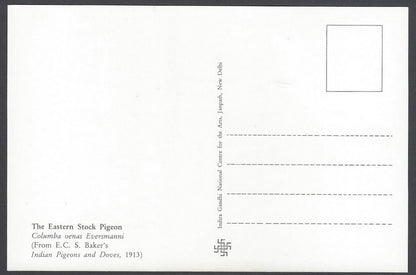 India 2008 Pigeon. The Eastera Stock Pigeon Maxi card