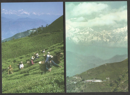 (AOP) India vintage postcards - DARJEELING (8)
