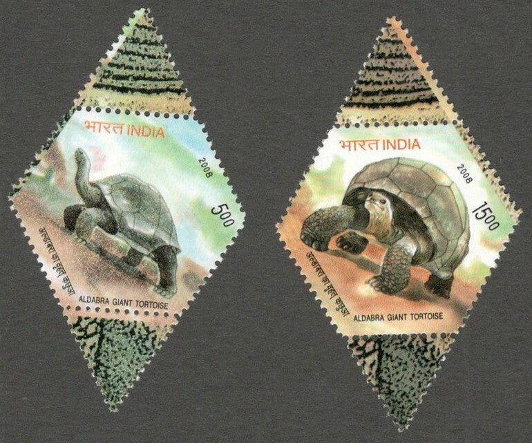 AOP India 2008 Tortoise set of 2 MNH