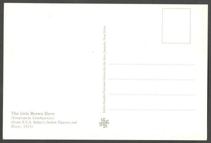 AOP India 2010 Pigeon maxi card
