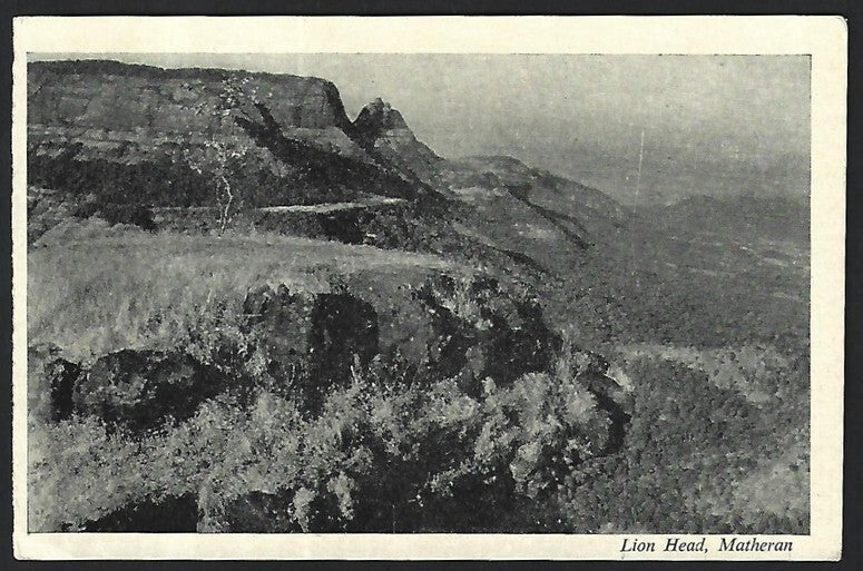 India MATHERAN vintage postcard Lion Head