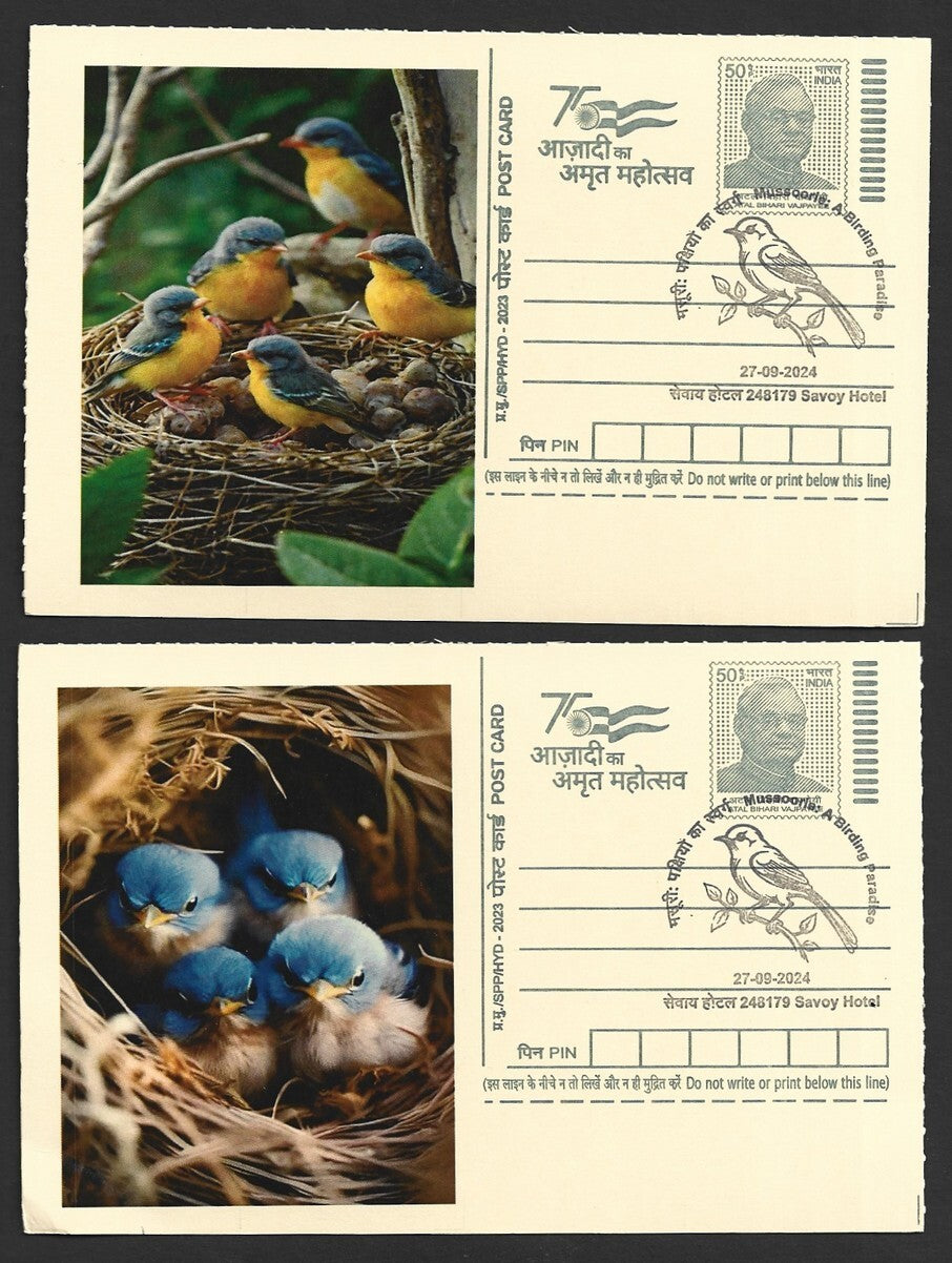India 2024 Birding Paradise Savoy Hotel postmark cards FAMILIES OF BIRDS (10)