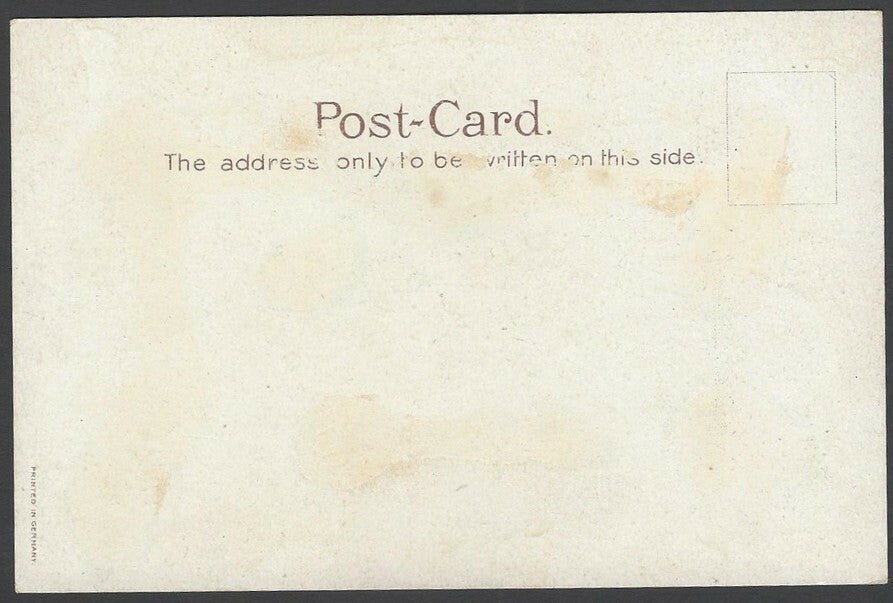 India vintage UB colour postcard Forest Triumphal Arch Lord Curzon’s Tour