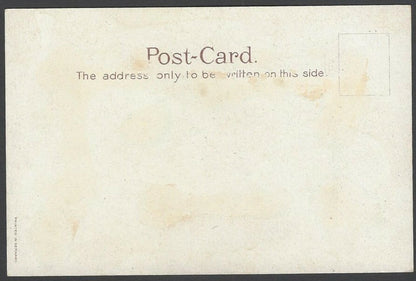 India vintage UB colour postcard Forest Triumphal Arch Lord Curzon’s Tour