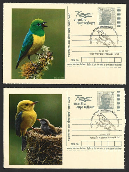 India 2024 Birding Paradise Savoy Hotel postmarks on cards NESTING BIRDS (7)