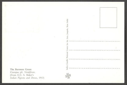 AOP India 2010 Pigeon maxi card