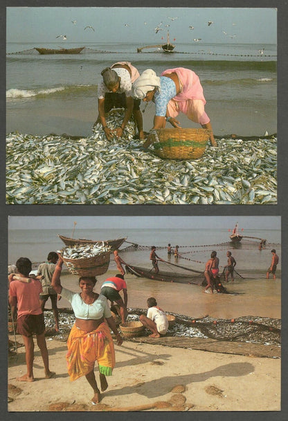 AOP India Goa Fish vintage Auroville postcards (3)